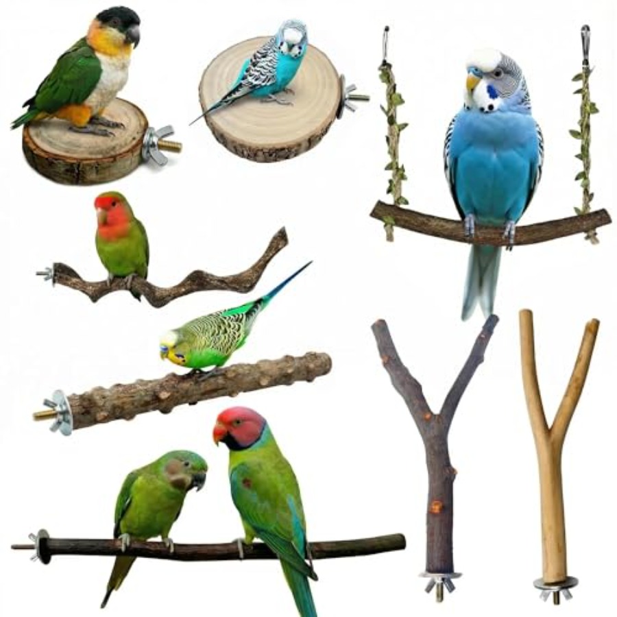 8PCS natural wood bird perches - Health & Wellness Equipment 评论和价格